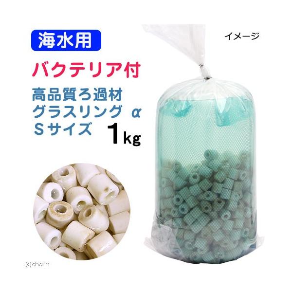 iCjށ@Cp@oNeAt@Cuށ@OXO@iAt@j@rTCY@P@kCEBq֗vۉ