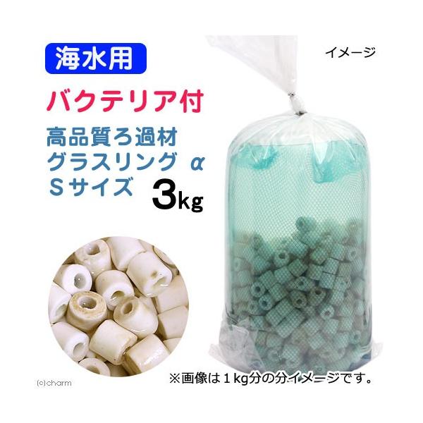 iCjށ@Cp@oNeAt@Cuށ@OXO@iAt@j@rTCY@R@kCEBq֗vۉ