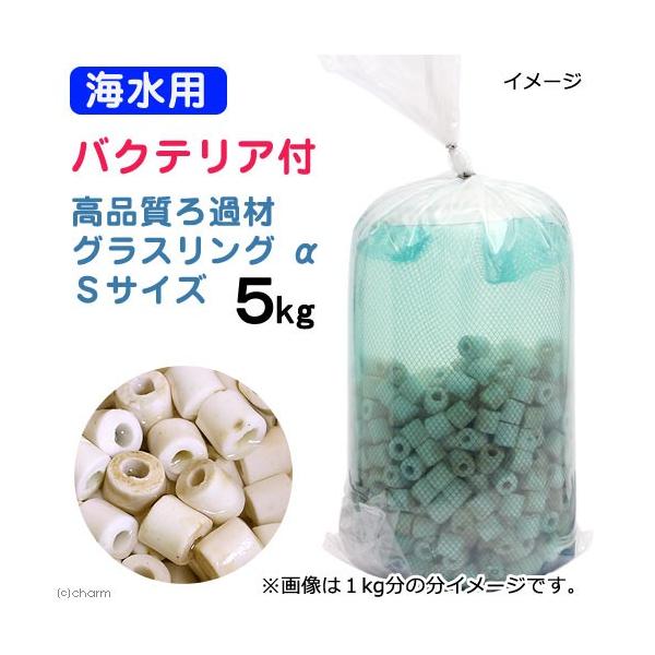 iCjށ@Cp@oNeAt@Cuށ@OXO@iAt@j@rTCY@T@kCEBq֗vۉ