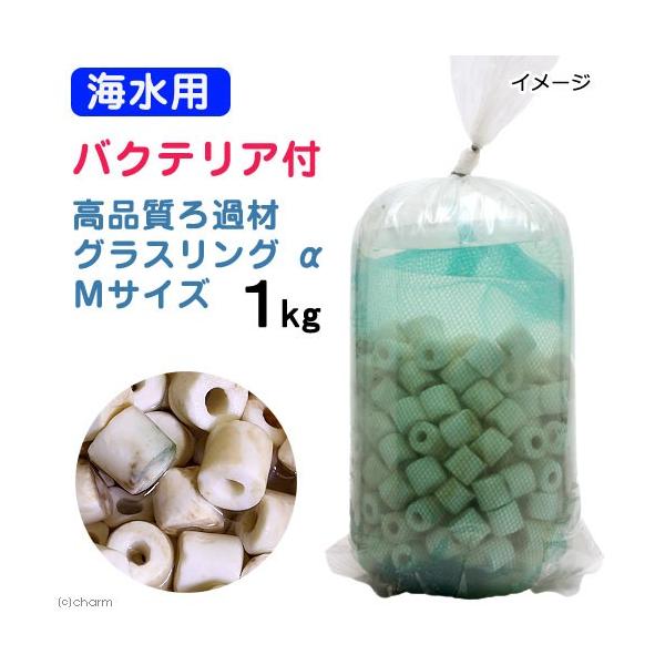 iCjށ@Cp@oNeAt@Cuށ@OXO@iAt@j@lTCY@P@kCEBq֗vۉ