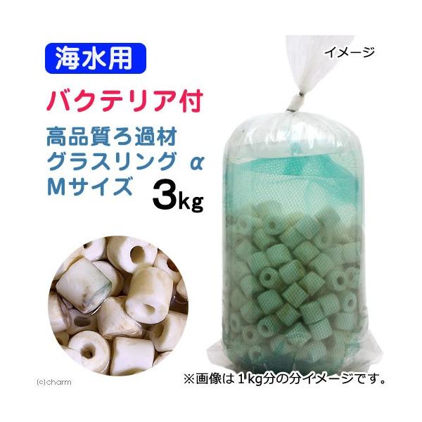 iCjށ@Cp@oNeAt@Cuށ@OXO@iAt@j@lTCY@R@kCEBq֗vۉ