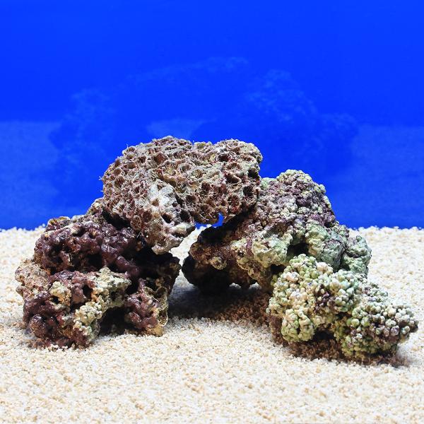 みや ライブロック 6kg 47014-2.jpg