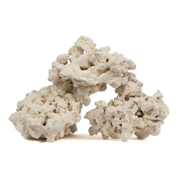 2250005410061　アクアリウム　天然石　海水　サンゴ　リーフタンク　コーラルロック　20240611　マルコロック　リーフセーバー　エッジレス（Ｅｄｇｅｌｅｓｓ）　Ｓサイズ　２〜３ｋｇ　サンゴ　石　海水　水槽　飾り　レイアウト　P...