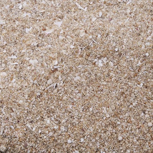 アラゴナイトサンド　プレミアム　１０ｋｇ　アクアリウム　海水　サンゴ　サンゴ砂　底床　底砂　RyoKoba　20240708　サンゴ　CORAL　コーラルボーン　天然　石　海水　水槽　飾り　レイアウト　Plantstech_coralbon...