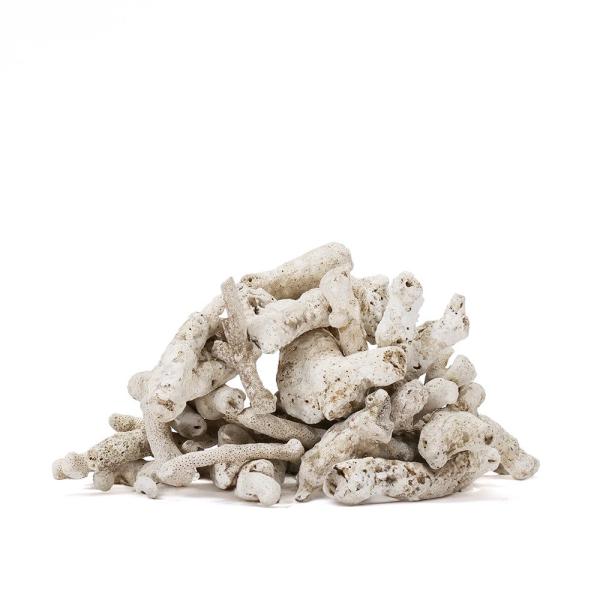 コーラルボーン　#１００−２００　枝　５ｋｇ　2250005410276　Plantstech_coralbone　ＫＫ　20240708　y24m07 Plantstech_list