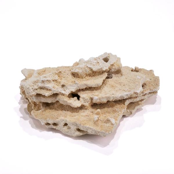 マルコロック シェルフ Sサイズ 10kgセット サンゴ 石 海水 水槽