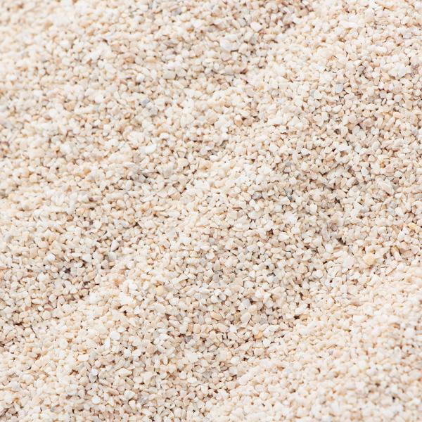 メーカー：ＣＰＦａｒｍ ＃１　Ｃ．Ｐ．Ｆａｒｍ　天然サンゴ砂＃１　Ｎａｔｕｒａｌ　ｃｏｒａｌ　ｓａｎｄ　１Ｌ　アクアリウム　アクア用品　海水水槽用　海水用　底砂　天然サンゴ　サンゴ砂　白　しろ　ホワイト　海水魚　ｐH　ＫＨ　上昇　安定　化石...
