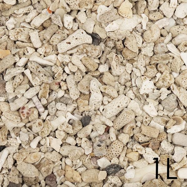 メーカー：ＣＰＦａｒｍ ＃１０　Ｃ．Ｐ．Ｆａｒｍ　天然サンゴ砂＃１０　Ｎａｔｕｒａｌ　ｃｏｒａｌ　ｓａｎｄ　１Ｌ　アクアリウム　アクア用品　海水水槽用　海水用　底砂　天然サンゴ　サンゴ砂　白　しろ　ホワイト　海水魚　ｐH　ＫＨ　上昇　安定　...