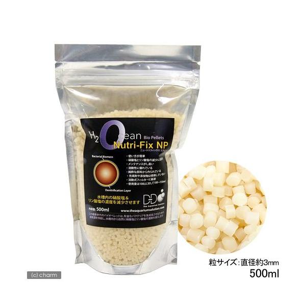 񂹏i@j[gtBbNXmo@TOO@oNeA@C@Ϗ܋