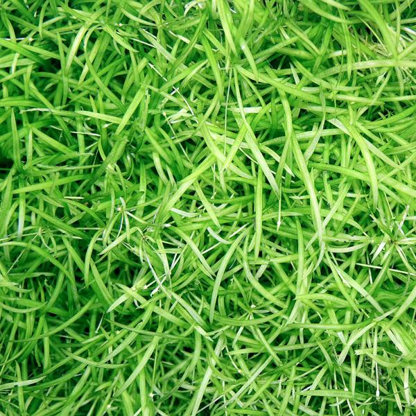 ijAtJ`F[\[hitji_jiRj