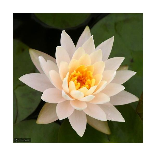 irIg[vj@@ѐ@iXCjiIWj@s[`O[@o@f@iP|bgjixԁj