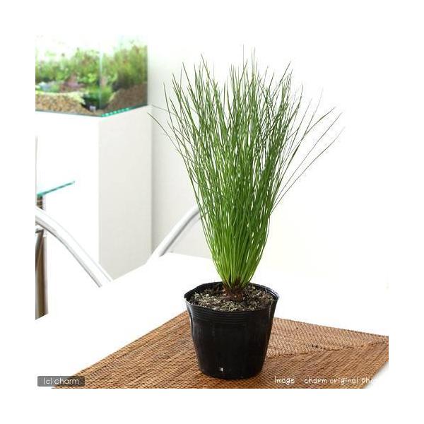 iR쑐j~́@}cij_CIEVEi剤jRDTiP|bgj