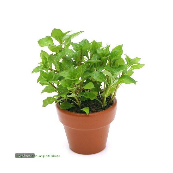 ij~jfĂ@hEBWA@yX@O[itji_jiPj