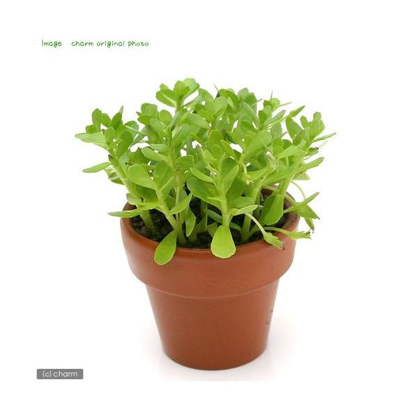 ij~jfĂ@oRp@jGitji_jiPj