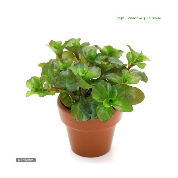 ij~jfĂ@hEBWA@IoXi~YLmV^jitji_jiPj