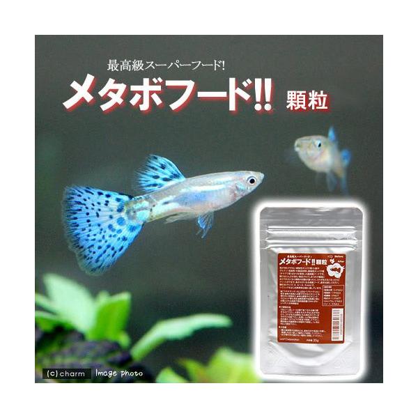 メーカー：(株)リーフ Leaf Corp アクアリウム用品　naisyoku_syukei　hwlist　アクア用品　餌　小粒　顆粒　Leaf　Corp　メタボフード　２０ｇ　シクリッド用　20100525　metabopowder　ＤＦ...