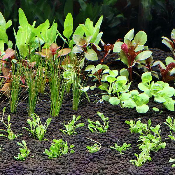 ij܂t@CAEgZbg@ROp@Ui_jiPpbNjitj