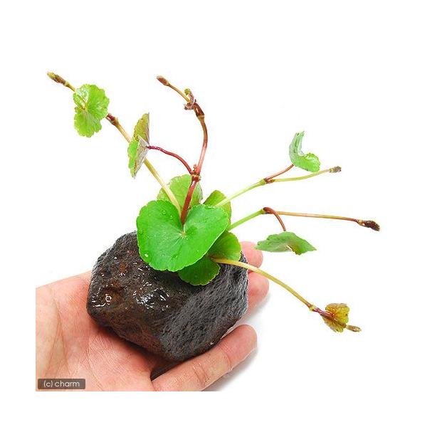 ijA}]`hOTitjnΕti_jiPj