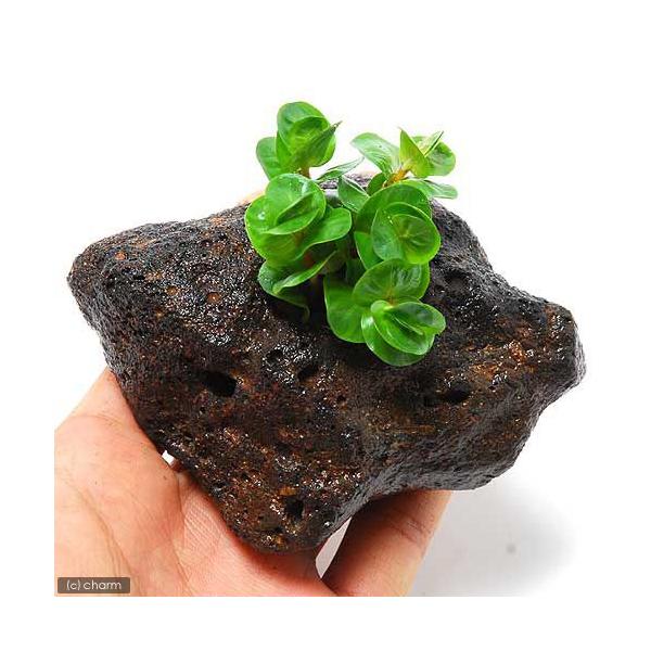 ij^@gfBtHAitjnΕti_jiPj