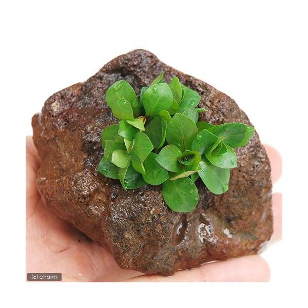 ijbhhEBWAitjnΕti_jiPj