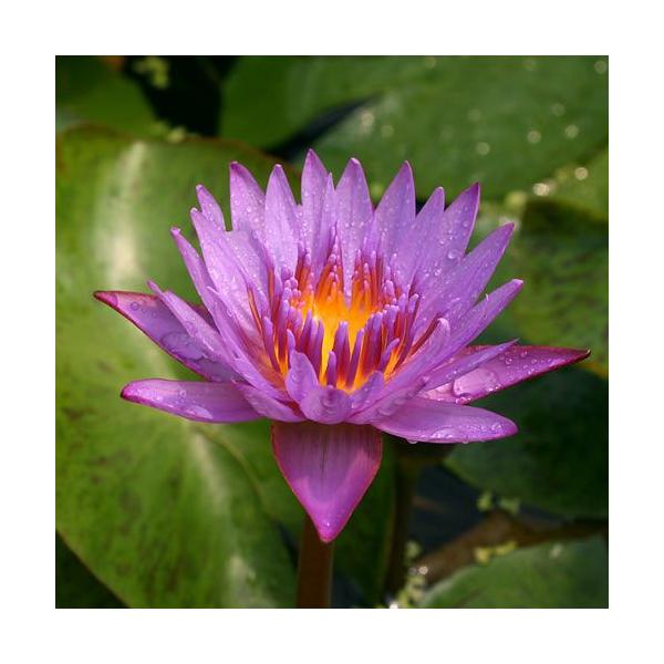 irIg[vj@@Mѐ@iXCjij@C@p[viP|bgjiJSjixԁj