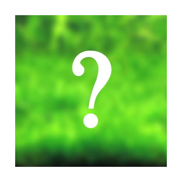 ij܂OiitjRZbgi_jiPpbNj