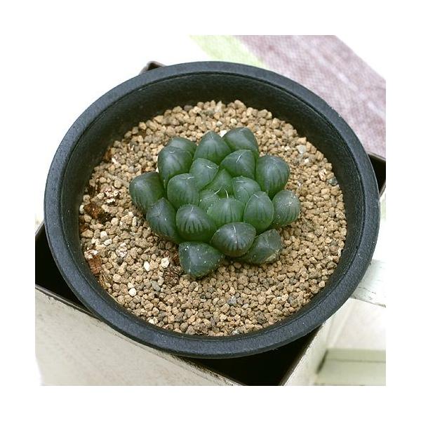 iAjnI`A@Iuc[T@gDJ[^@RiPj