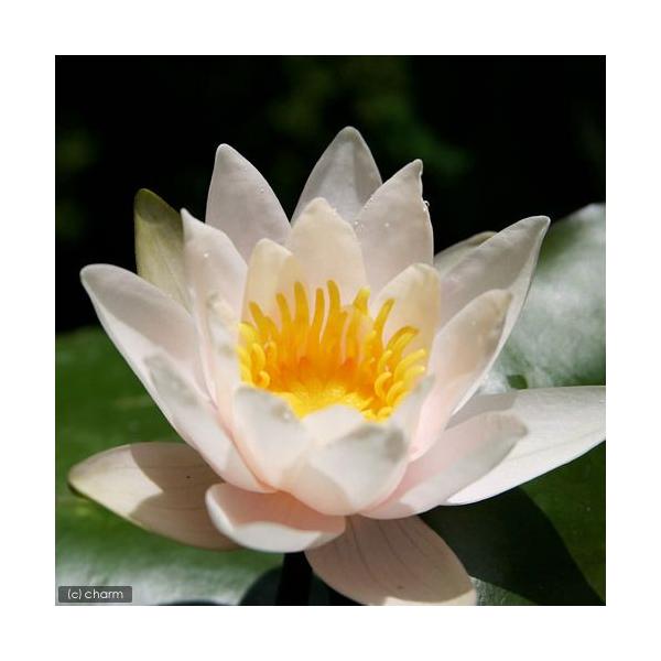 irIg[vj@@ѐ@iXCji`j@GTh[@ir@c@iP|bgjixԁj