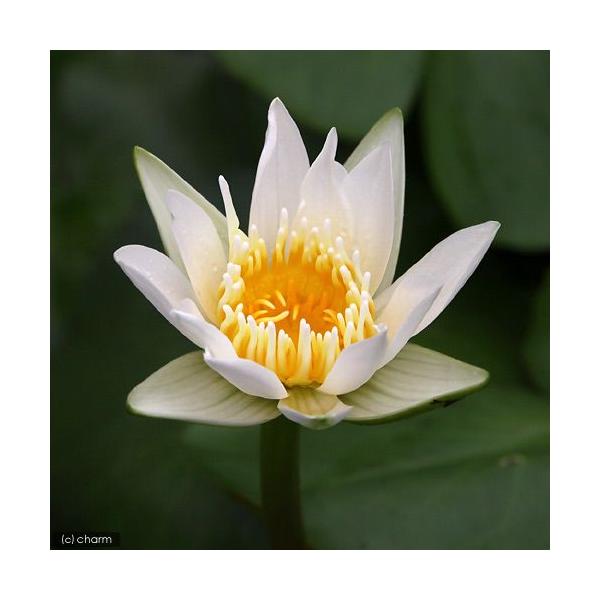 irIg[vj@@Mѐ@iXCjij@zCg^}k[iP|bgjixԁj