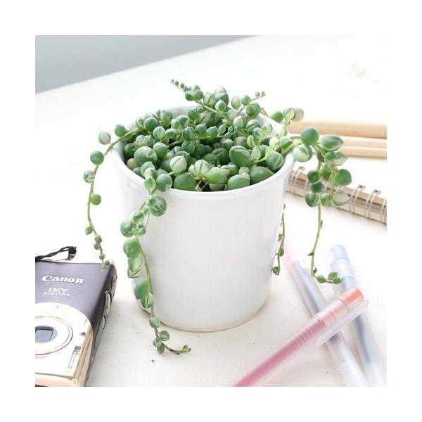 iAjO[lbNX@@QDT`RiP|bgj