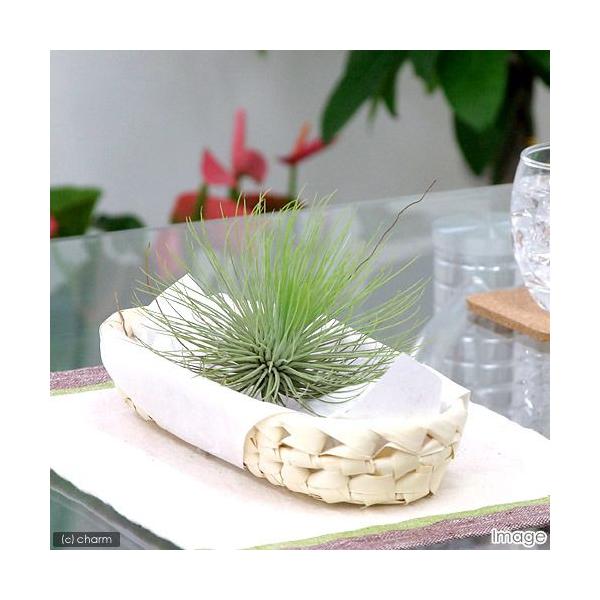 iϗtAjGA[vc@`WA@AhAiiPj