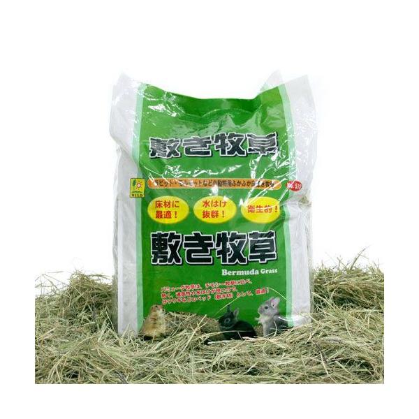他サイト： 三晃商会　敷き牧草（バミューダグラス）約１Ｋｇ　うさぎ　小動物　お一人様６点限りの商品画像
