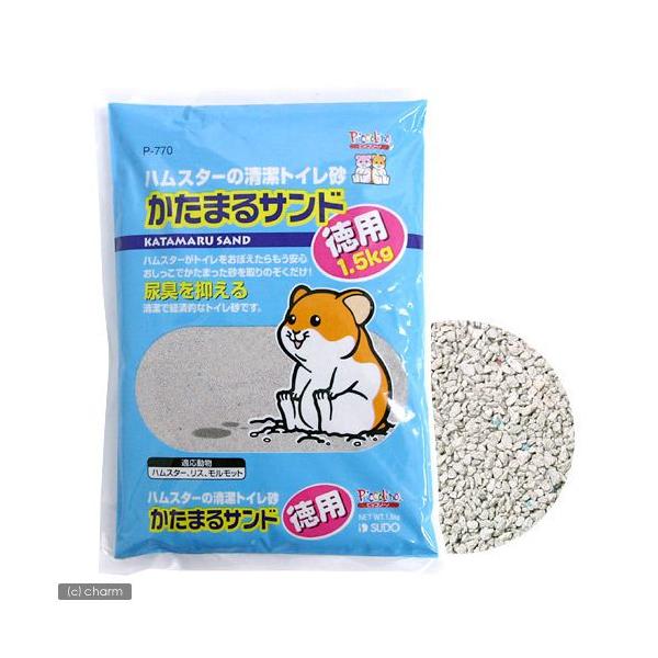 Xh[@܂Th@p@PDT@nX^[p@xgiCg@gC