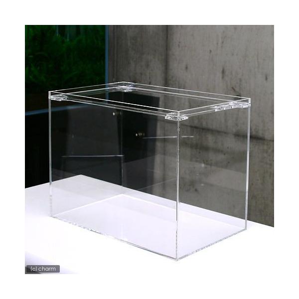 チャーム（charm） 水槽 アクリル水槽 ラクシス No．27 （400