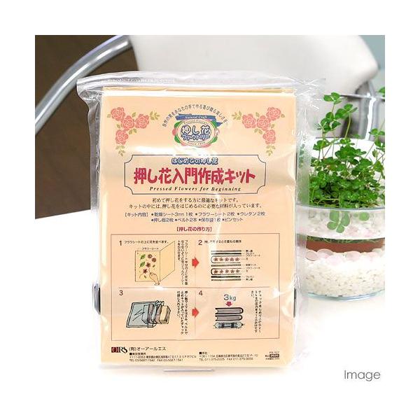 メーカー：オーアールエス 押し花入門作成キット　zakka_tokusyuu　押し花　おしばな　作成　手作り　葉　花　手紙　カード　キーホルダー　プレゼント　インテリア・雑貨　押し花入門　sum-vac2011　自由研究　押し花作成シリーズ...
