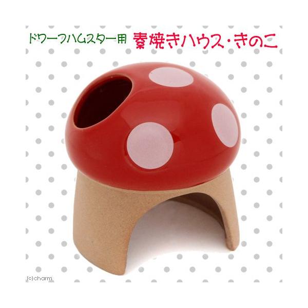 OW@fĂnEX@̂@h[t@nX^[@nEX@퐻