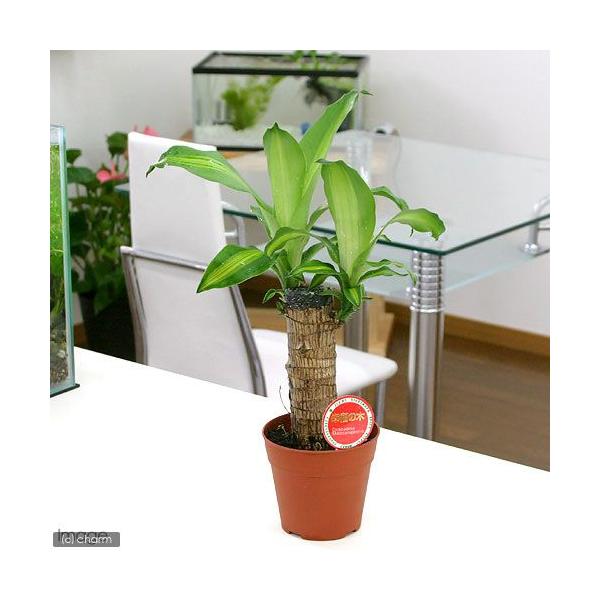 iϗtAjhZi@}bTQAiiK̖؁jP{A@SiPj