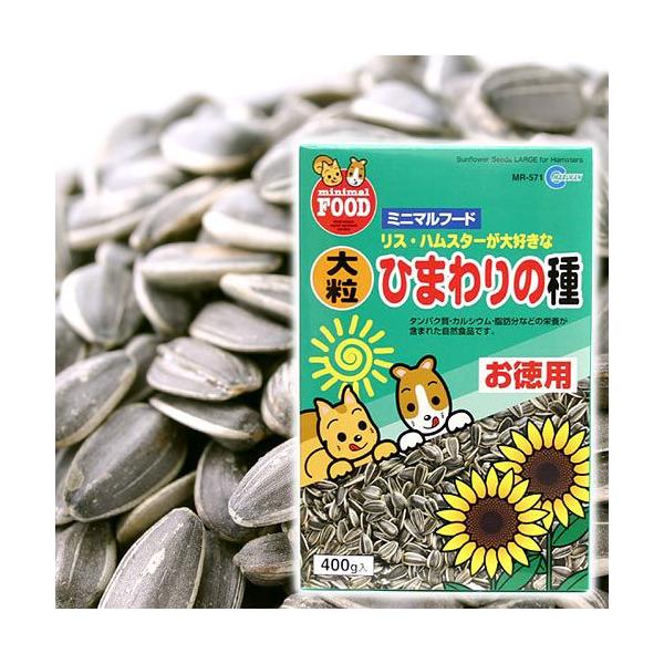 }J@嗱Ђ܂̎@p@SOO@nX^[t[h@@@GT@a