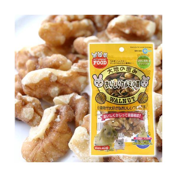 メーカー：マルカン _animal　小動物　鳥　小動物全般　おやつ　マルカン　大地の恵み　おいしいクルミの森　40g　ハムスター　リス　ウサギ　pfeza91　4906456531838　餌　えさ　YMYM　opa2_choku　pmelkrm