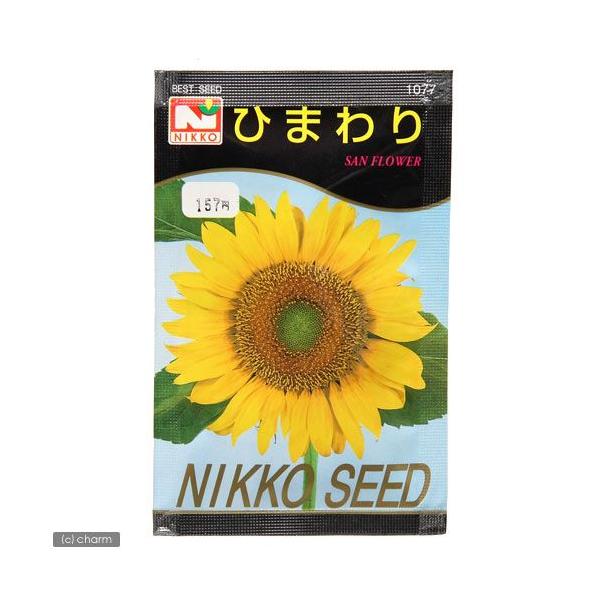 アウトレット品 ひまわりの種（SAN FLOWER） 品番：1077