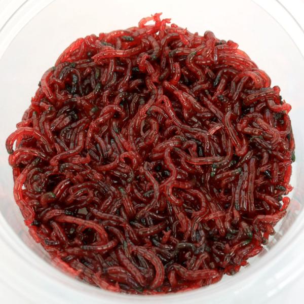 数量：10g　生き餌　活イトメ　活き餌　活餌　活きエサ　イトミミズ itome190220　bnr_mdkikie　iki_itome　釣り餌　20231214　KE　y23m12