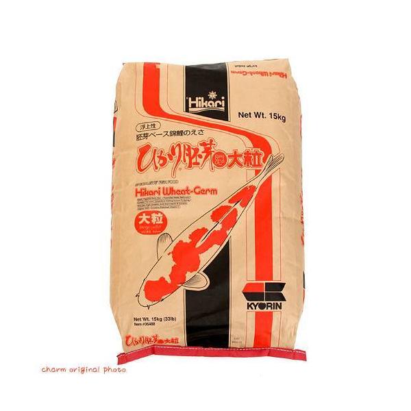 ̉a@L[@Ђ@嗱i㐫jPT@ь@a@@llP_