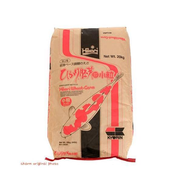 ̉a@L[@Ђ@i㐫j@QO@ь@a@