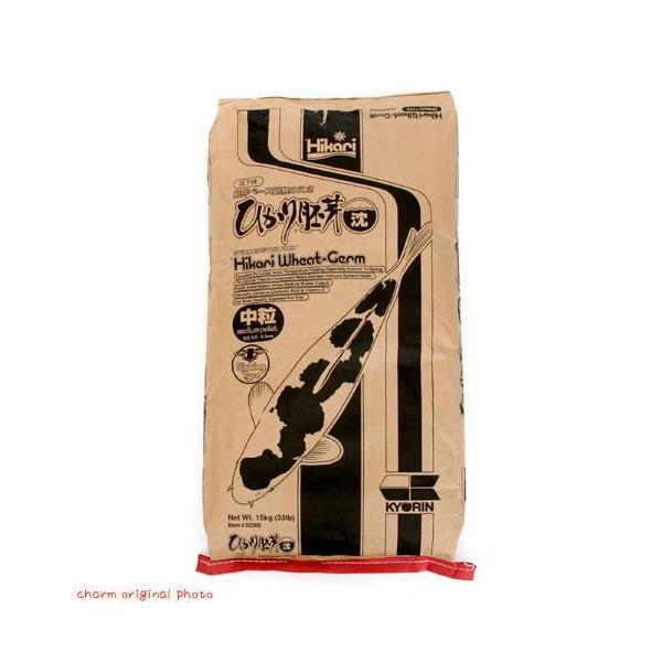 ̉a@L[@Ђ@ijPT@ь@a@@llP_