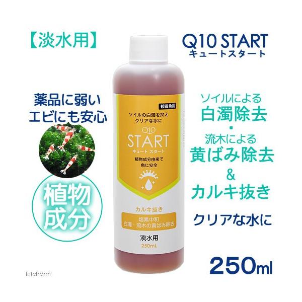 EGrɗDJL@pPOX^[g@Wp@QTOk@AR@