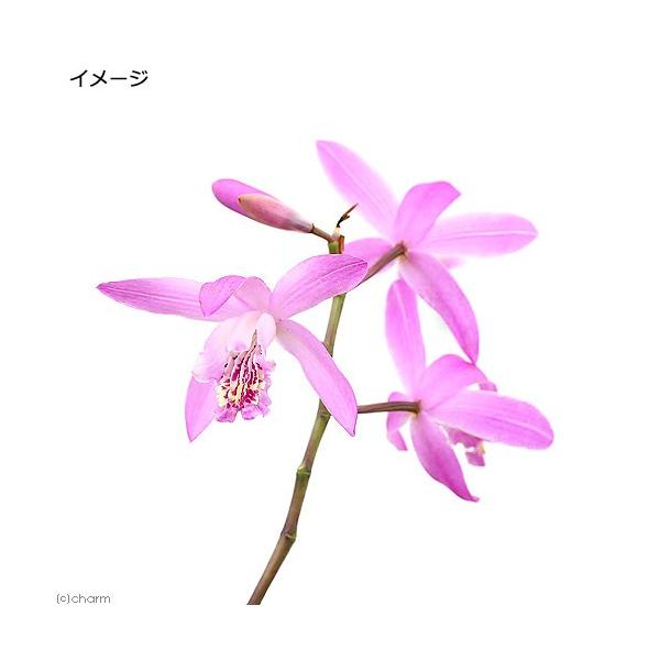 iR쑐jVijR`RDTiP|bgjixԁj