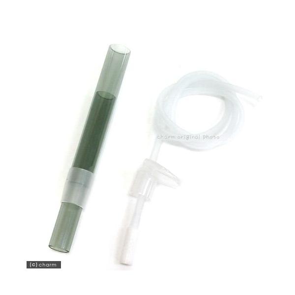 ANAVXe@vWFNgtB^[p@pCvZbgr