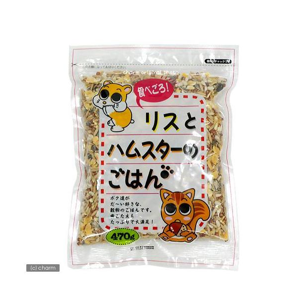 A^@Hׂ@XƃnX^[̂͂@SVO@nX^[t[h@@GT@a