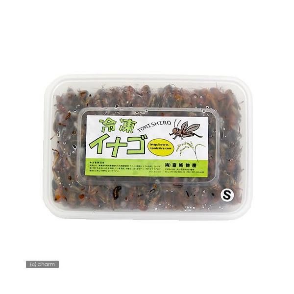 ⓀCiS@riQDT@QTOCj@snlhrghqn@ʓrN[萔@퉷is