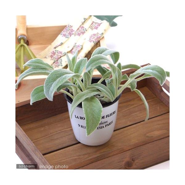 iϗtAjn[uc@YC[@RiP|bgj@ƒ؉